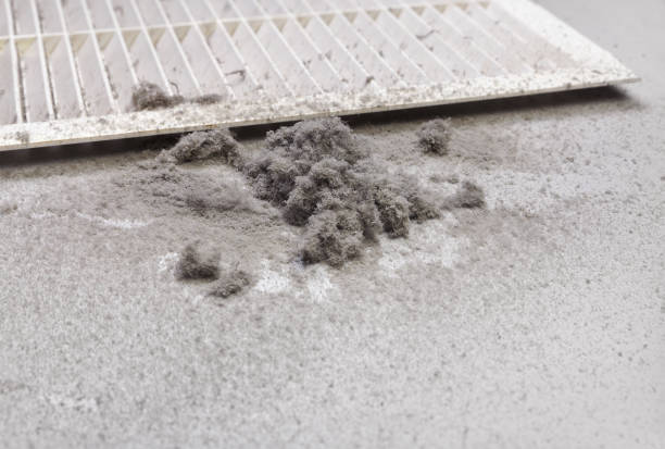 Best Ventilation Cleaning Services  in Childersburg, AL