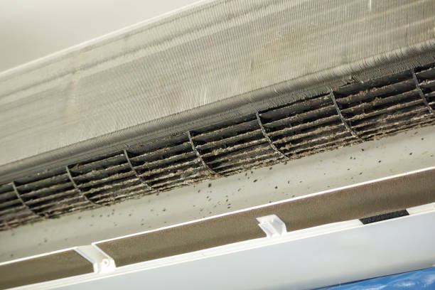 Best Air Duct Cleaning Cost  in Childersburg, AL